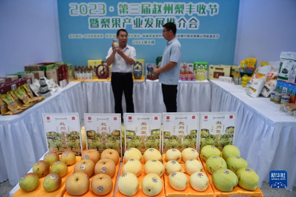 mg游戏登陆平台